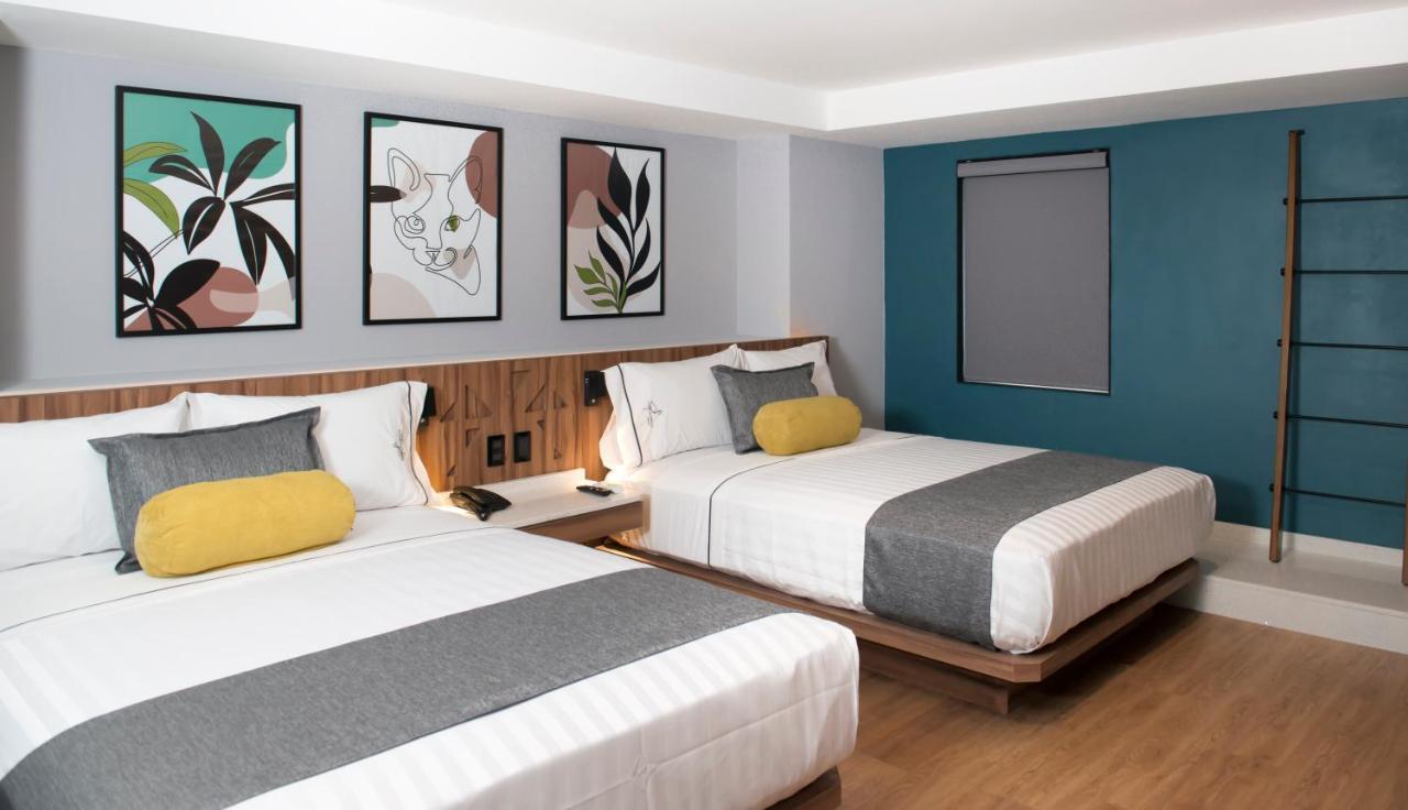 Hotel Flamencos Centro Historico مدينة مكسيكو المظهر الخارجي الصورة
